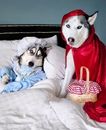 Little Red Riding Husky Homemade Costume