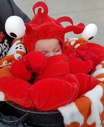 Lobster and Chefs Costume