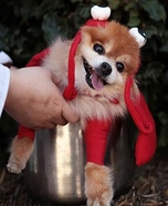 DIY Lobster Dog Costume