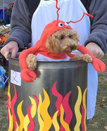 Lobster in a Pot Puppy Costume