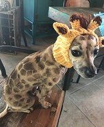 Lola the Giraffe Homemade Costume