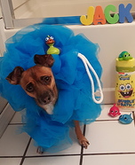 Loofah Pet Homemade Costume
