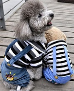 Country Dawg Costume