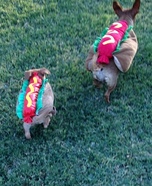 Mama Hotdog & Baby Hotdogs Homemade Costume