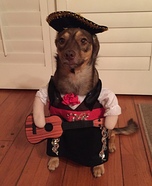 Mariachi Dog Homemade Costume
