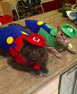 Mario and Luigi Cats Homemade Costume