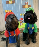 Mario & Luigi Dogs Homemade Costume