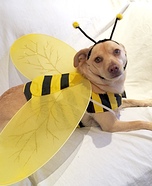 Max-Bee Homemade Costume