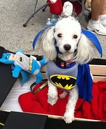 Max as Batman and his Batmobile Costume