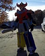 Megazord Costume