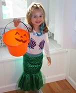 Mermaid Princess Costume