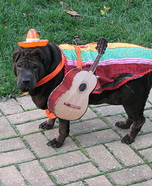 Mexican Musician Dog Costume