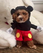 Mickey Dog Costume