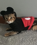 Mickey Mouse Cat Costume
