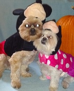 Mickey & Minnie Eeyore and Tigger Pet Costumes