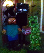 Minecraft Family Costume