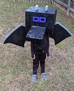 Minecraft Ender Dragon Homemade Costume