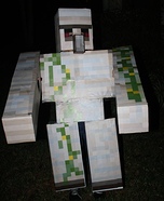 Minecraft Iron Golem Homemade Costume