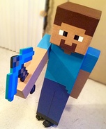Homemade Minecraft Steve Costume