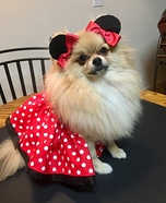 Minnie Belle Homemade Costume