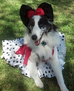 Minnie Mouse Dog Costume