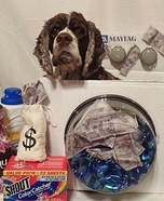 Money Laundering Homemade Costume