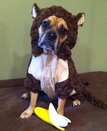 Homemade Monkey Costume for Dogs