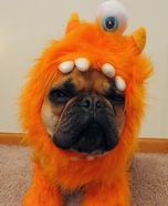 Monster Dog Costume