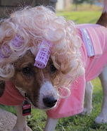 Morning Granny Dog Homemade Costume