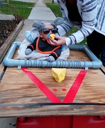 Mouse in the Trap Homemade Costume