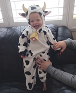 Mr Cow Costume