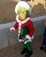 Mr. Grinch Homemade Costume