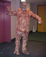 Homemade Mummy Costume