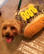 Mustard Dog Costume