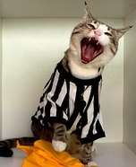Homemade NFL Referee Cat Costume