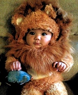 Noah's Ark Baby Lion Costume