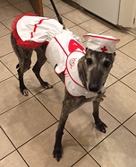 Nurse Dog Costume