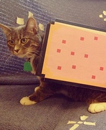 Nyan Cat Homemade Costume