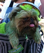 Oscar the Grouch Costume for Dogs