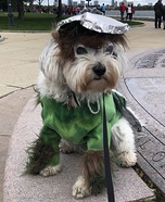 Oscar the Grouch Dog Homemade Costume