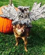 Owl Dog Homemade Costume