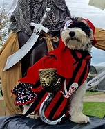 Pawrate Pup Homemade Costume