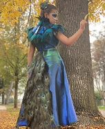 Peacock Homemade Costume
