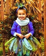 DIY Peacock Costume for Girls