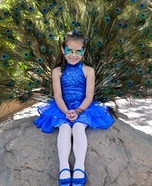 Peacock Costume for Girls