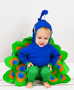 Homemade Peacock Baby Costume