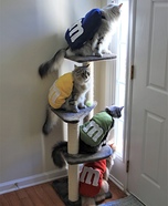 Peanut M&M's Cats Homemade Costume