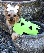 Pebbles Dog Homemade Costume