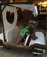 Pebbles Flintstone Dog Homemade Costume