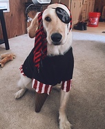 Peg-Legged Puppy Pirate Homemade Costume